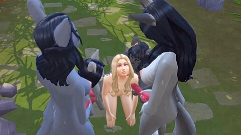 Hikaris Harem